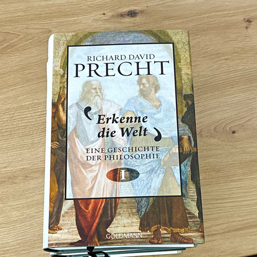 Goldmann richard david - david, precht